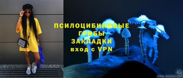 крисы Алексин