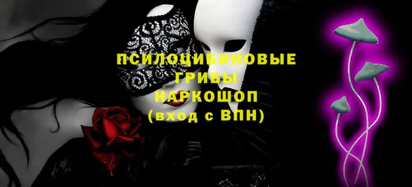 крисы Алексин