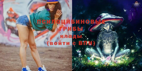 крисы Алексин